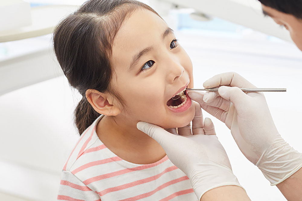 永久歯の矯正治療期間を短縮できる